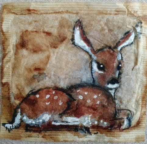 the-fawn_dawn-gettig