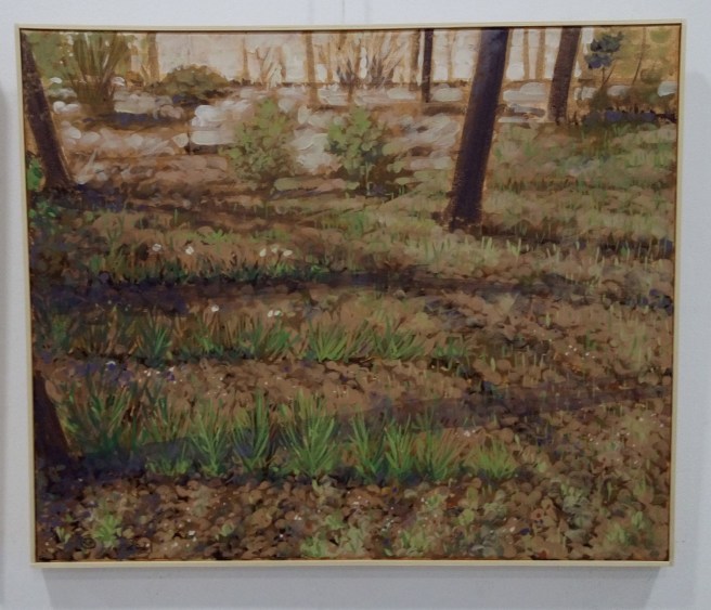 Dan Mohanu, Veduta--Beginning of Spring